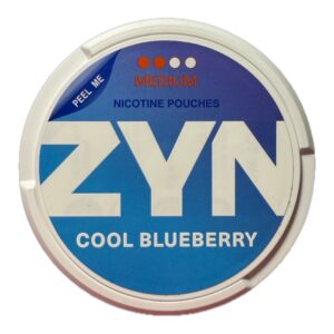 ZYN Cool Blueberry 6mg